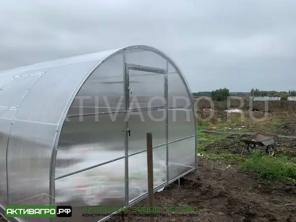 Теплица Ударница Царицынская, ширина 2.5/3 м, труба 40х20 мм Теплица Ударница Царицынская, ширина 2.5/3 м, труба 40х20 мм